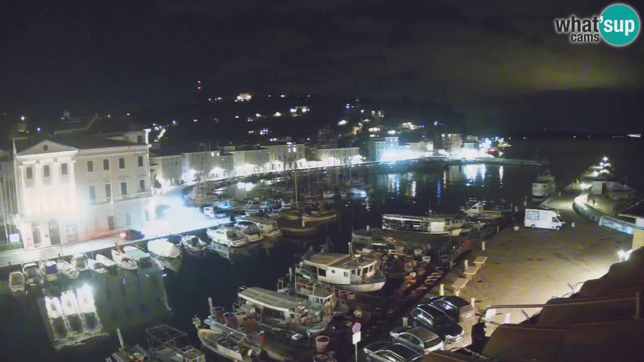Iz Pirana Spletna kamera v živo “Mandrač” – Neverjeten pogled v živo iz Vile Piranesi