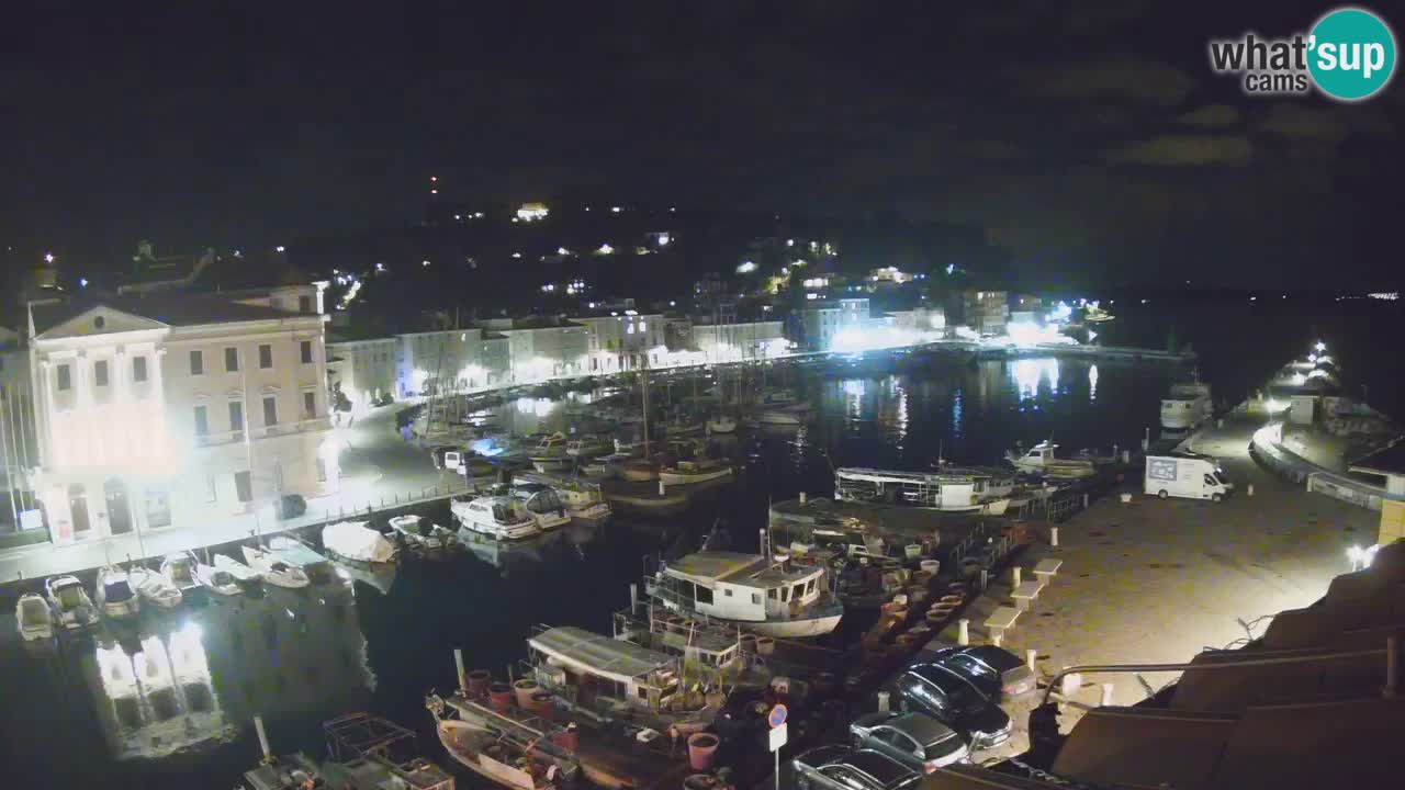 Iz Pirana Spletna kamera v živo “Mandrač” – Neverjeten pogled v živo iz Vile Piranesi
