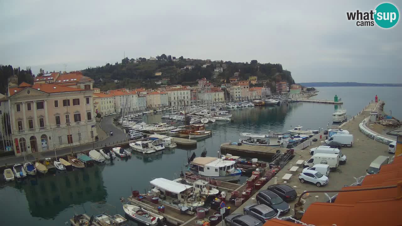 Live webcam da Pirano “Mandrač” – Splendida vista live da Villa Piranesi