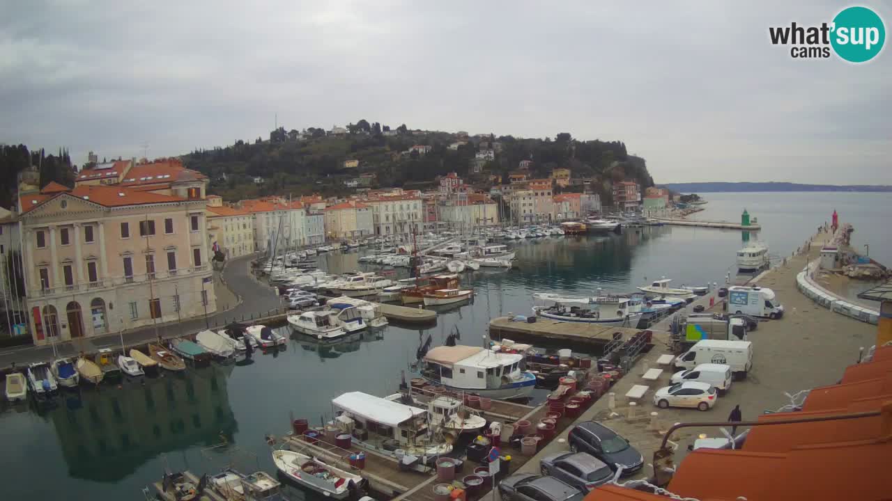 Iz Pirana Spletna kamera v živo “Mandrač” – Neverjeten pogled v živo iz Vile Piranesi