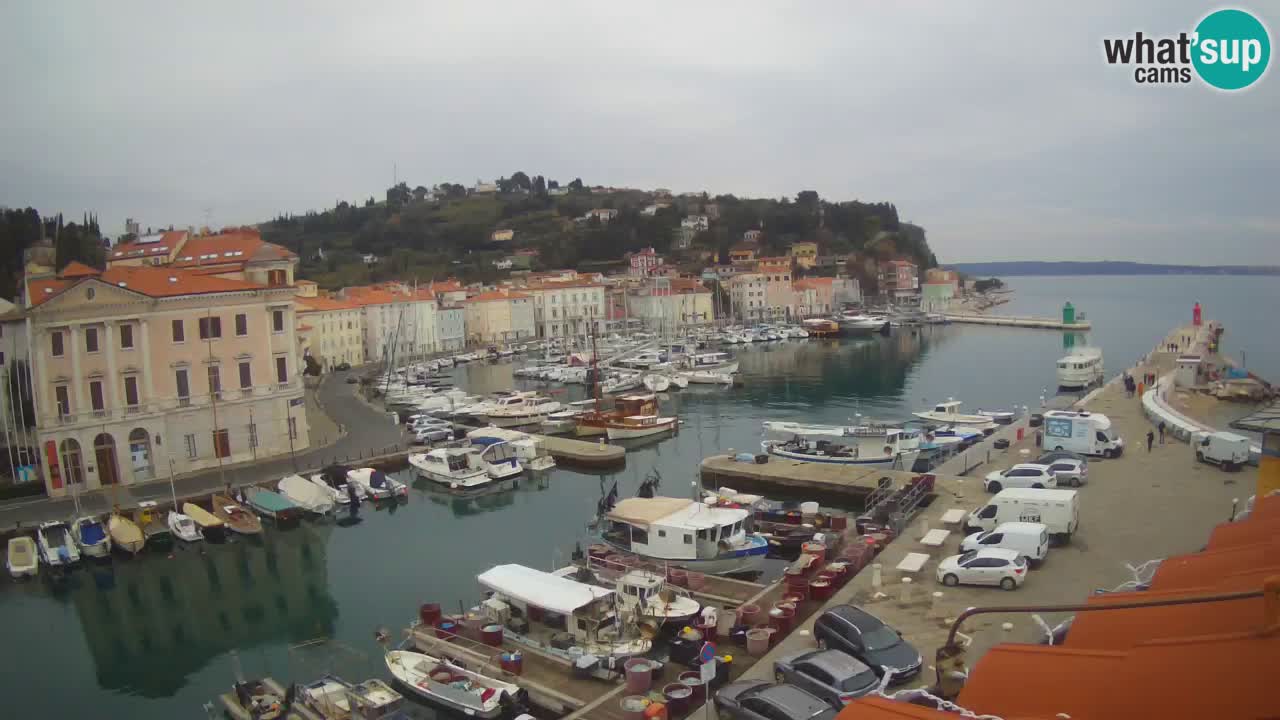 Webcam en direct de Piran “Mandrač” – Incroyable vue en direct de la Villa Piranesi