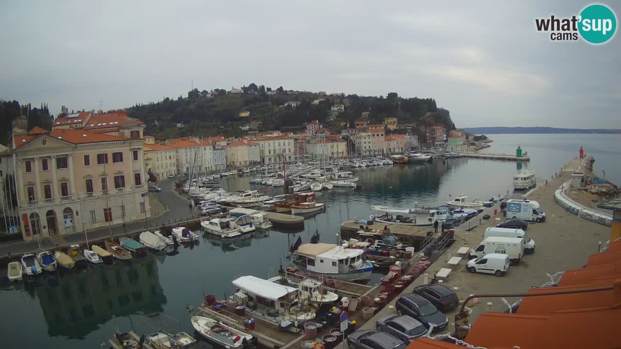 Live webcam da Pirano “Mandrač” – Splendida vista live da Villa Piranesi