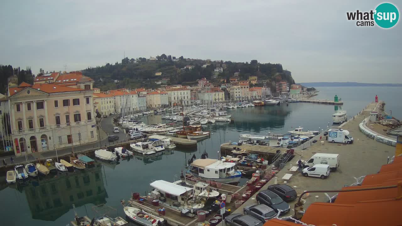Webcam en direct de Piran “Mandrač” – Incroyable vue en direct de la Villa Piranesi