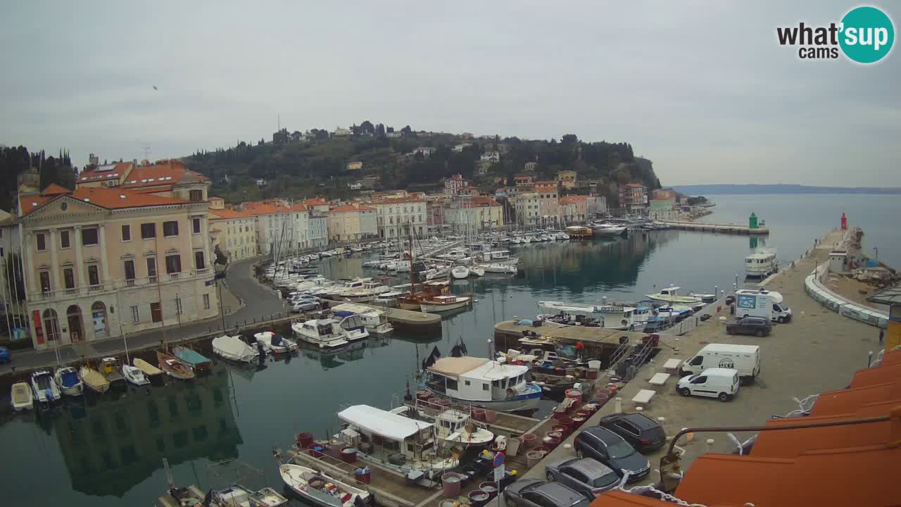 Live-Webcam aus Piran “Mandrač” – Erstaunliche Live-Ansicht von Villa Piranesi