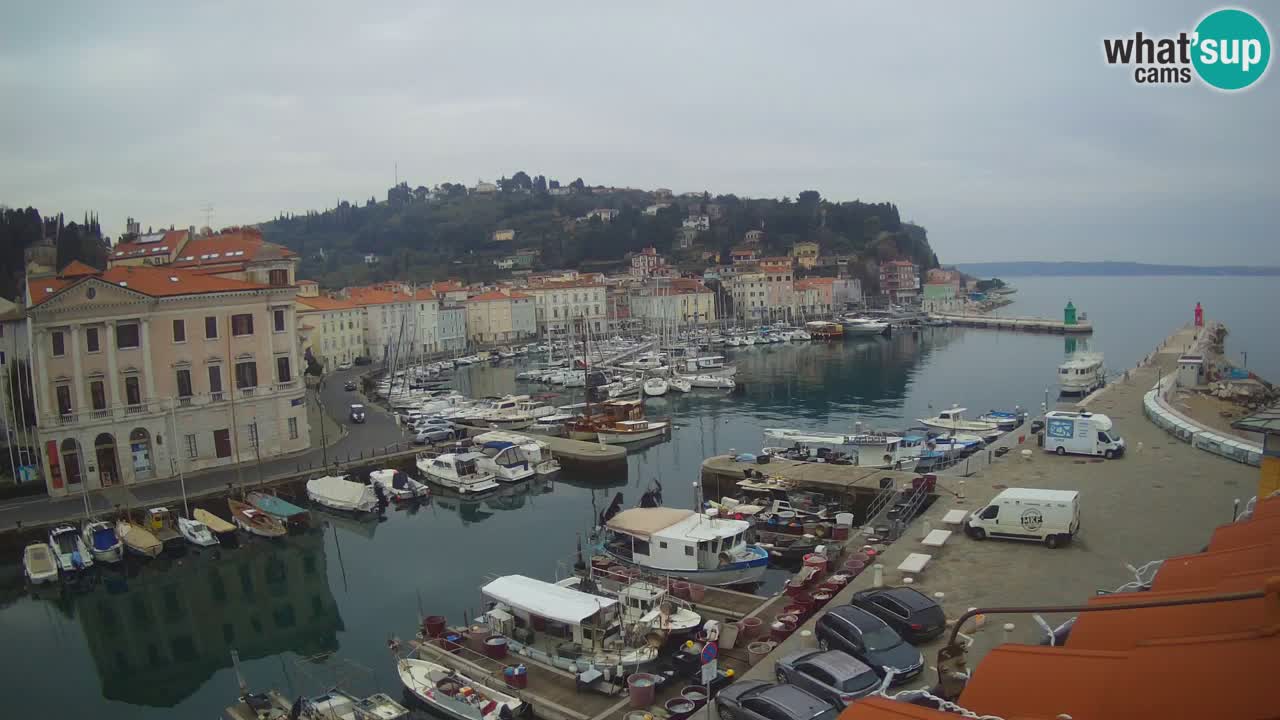 Cámara web en vivo desde Piran “Mandrač” – Increíble vista en vivo desde Villa Piranesi
