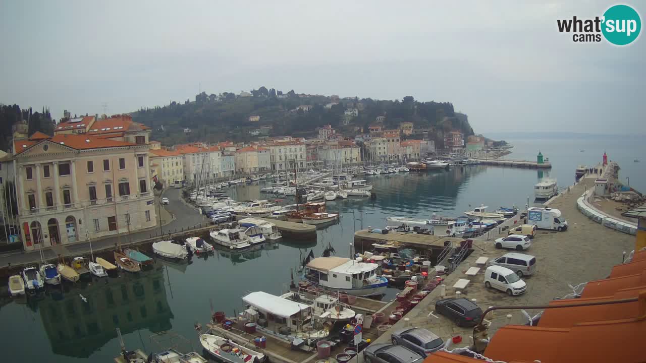 Live-Webcam aus Piran “Mandrač” – Erstaunliche Live-Ansicht von Villa Piranesi