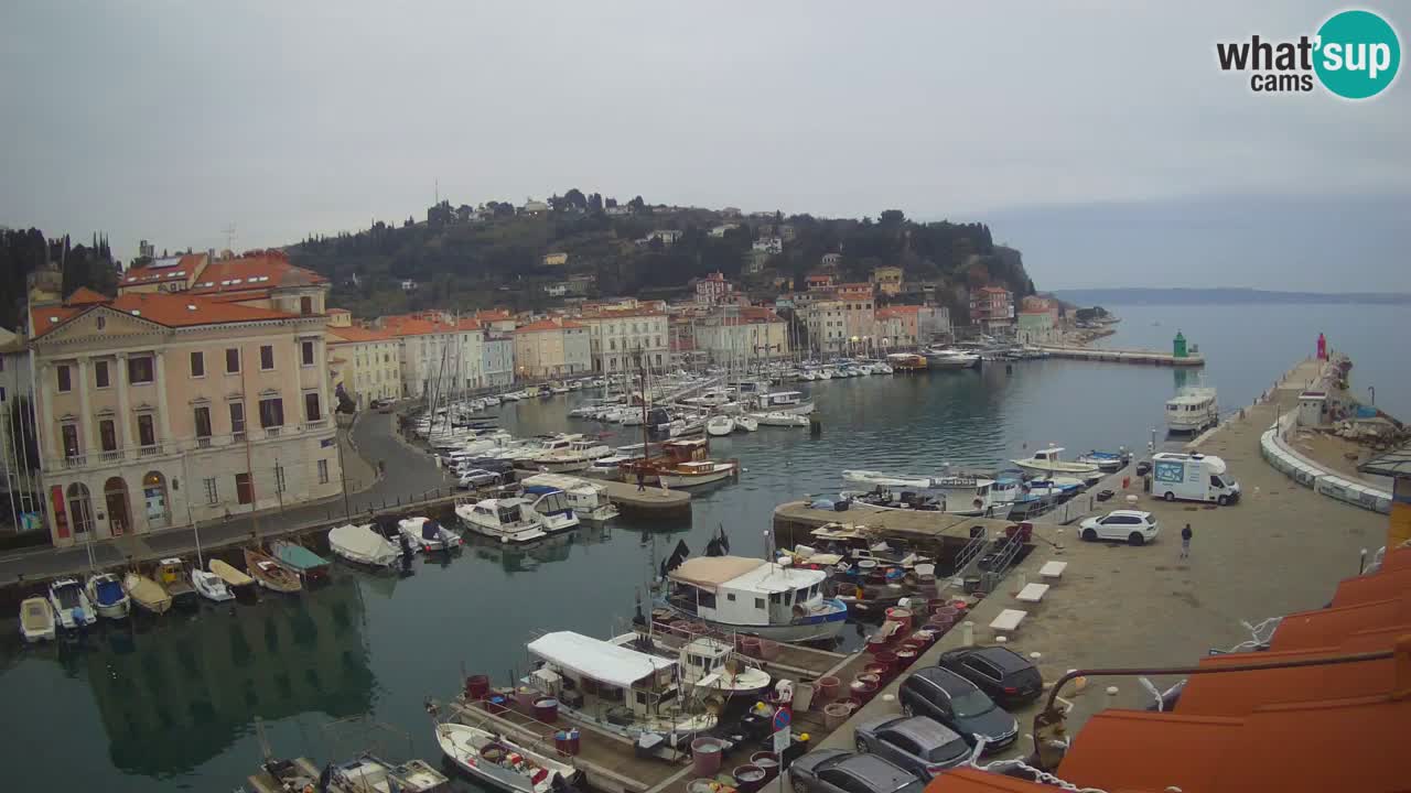 Webcam en direct de Piran “Mandrač” – Incroyable vue en direct de la Villa Piranesi