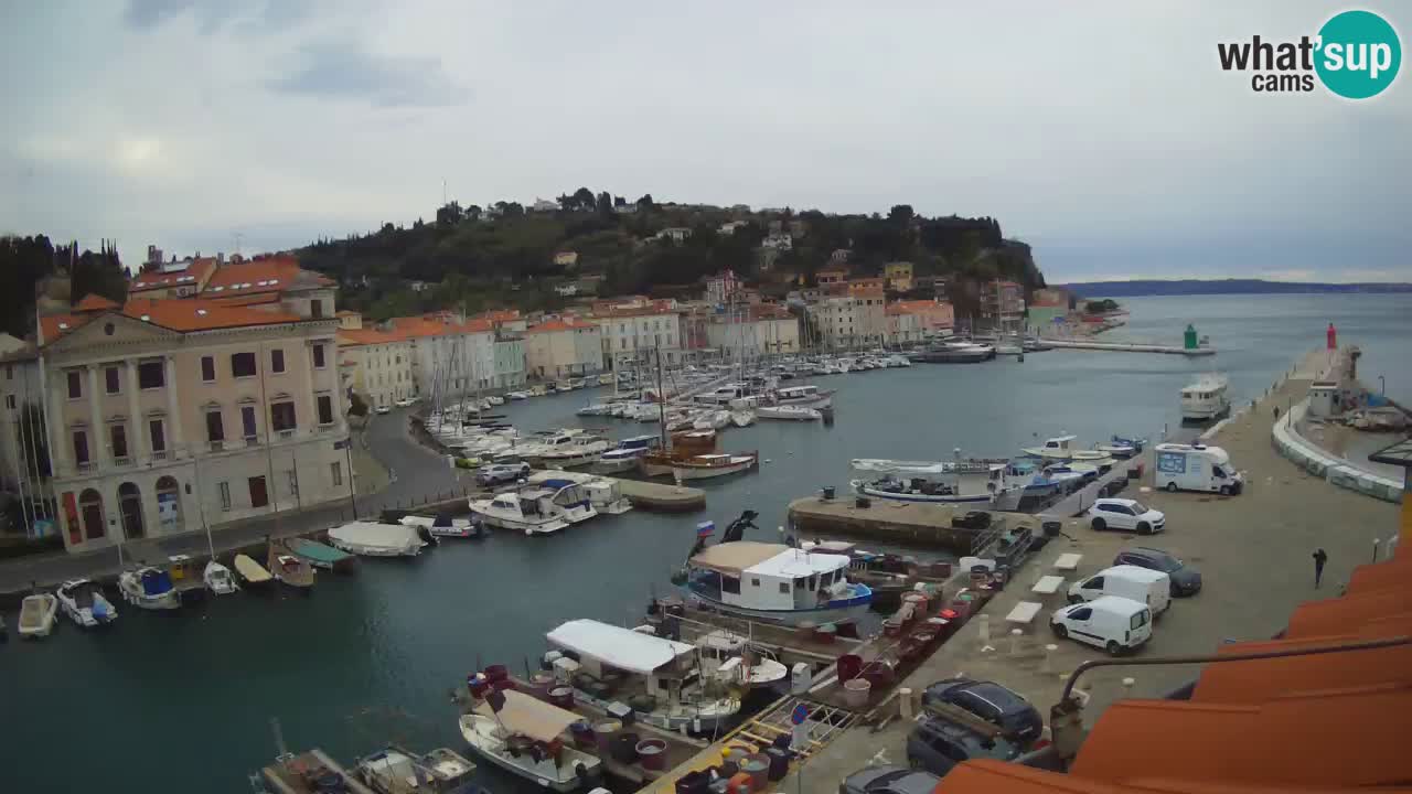 Live webcam from Piran “Mandrač” – Amazing live view from Villa Piranesi