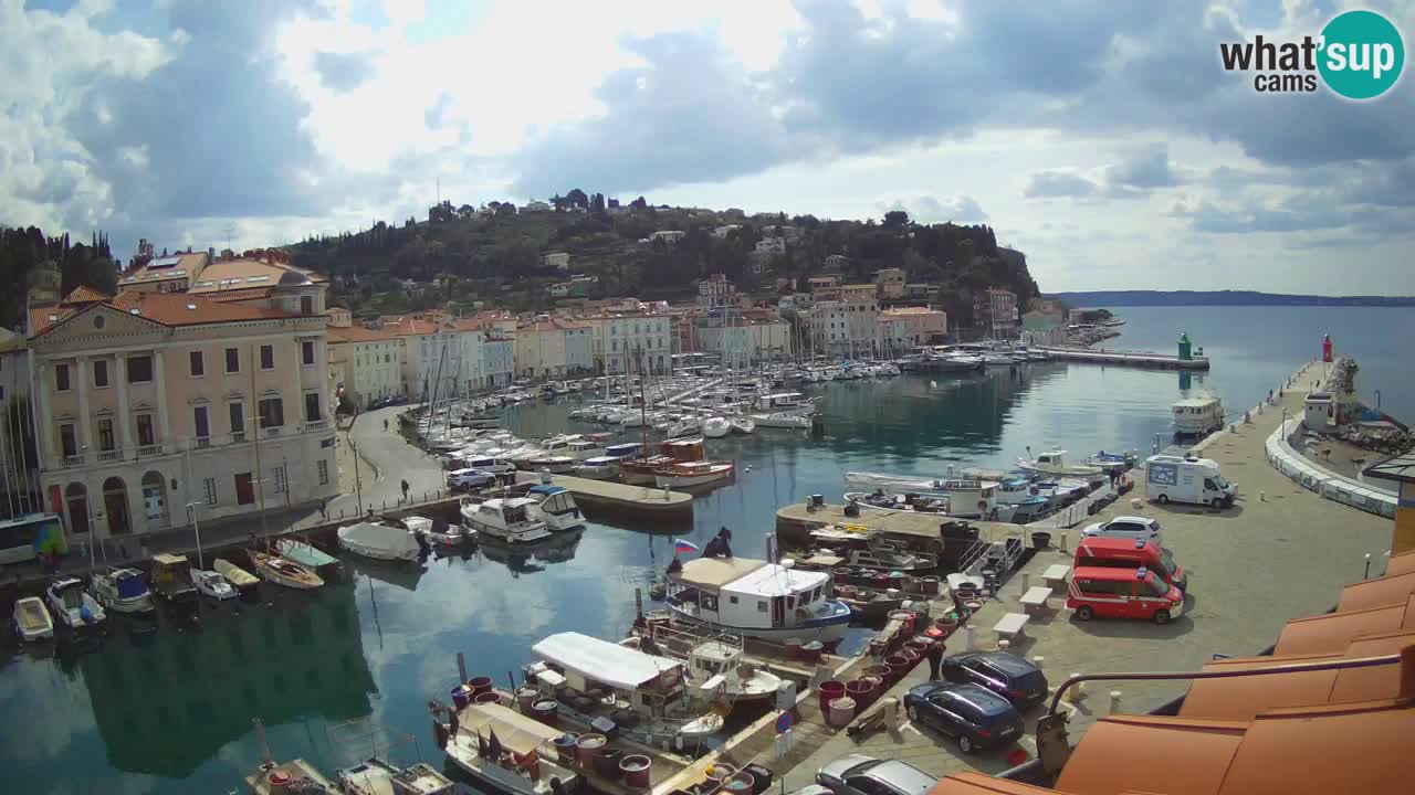 Web kamera uživo iz Pirana “Mandrač” – Nevjerojatan pogled uživo iz Ville Piranesi