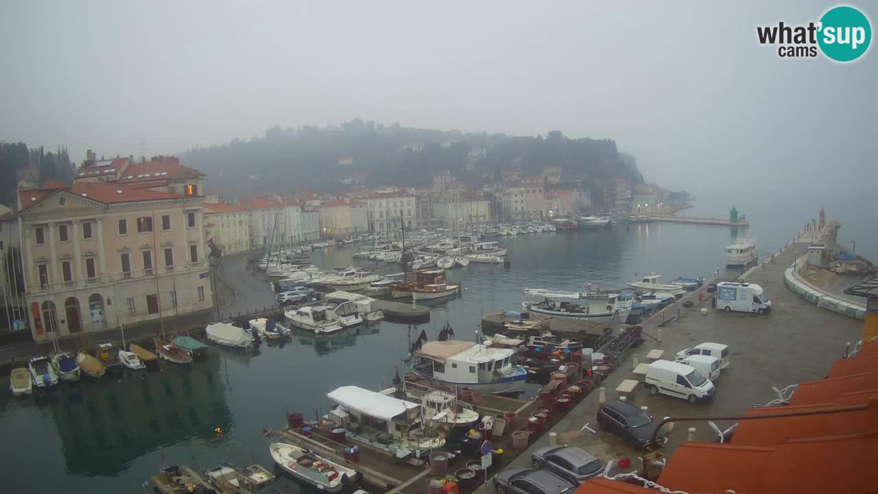 Live webcam da Pirano “Mandrač” – Splendida vista live da Villa Piranesi
