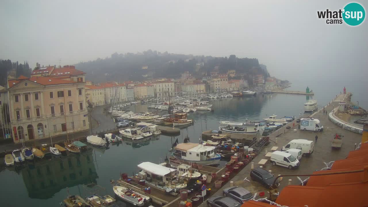 Live-Webcam aus Piran “Mandrač” – Erstaunliche Live-Ansicht von Villa Piranesi