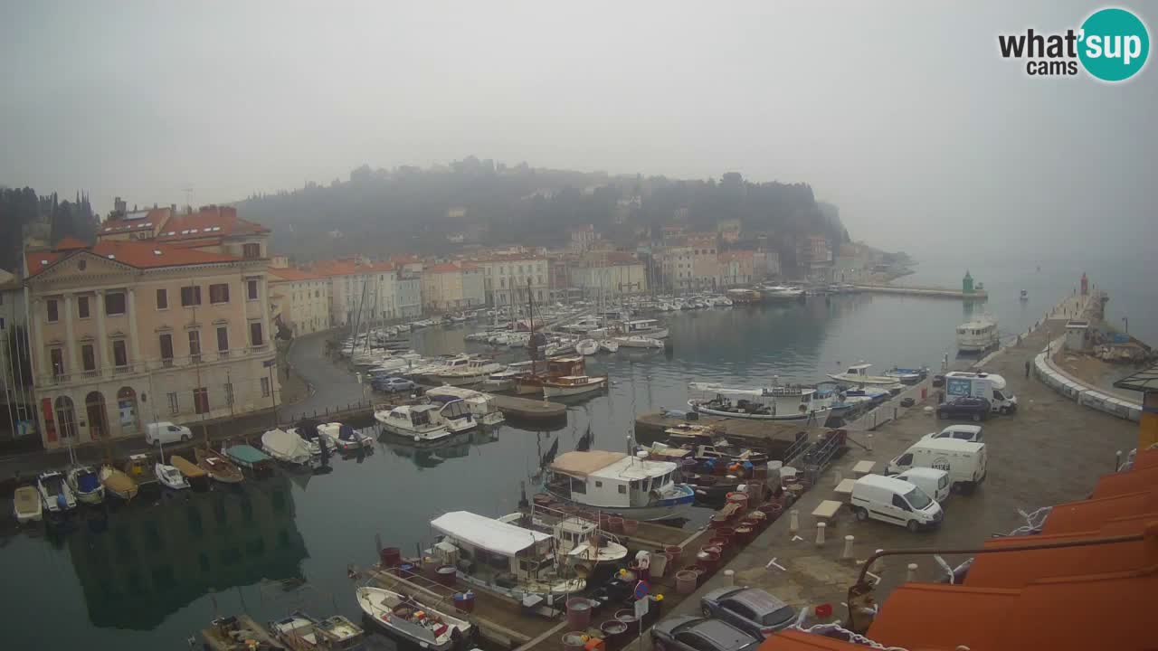 Live-Webcam aus Piran “Mandrač” – Erstaunliche Live-Ansicht von Villa Piranesi