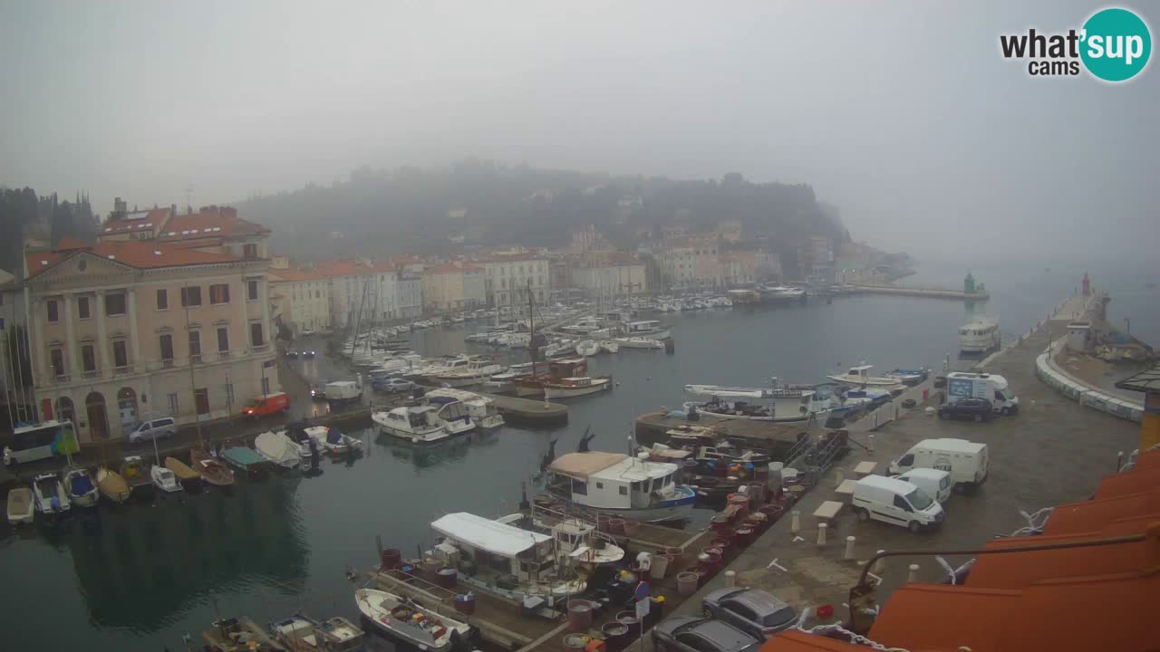 Live-Webcam aus Piran “Mandrač” – Erstaunliche Live-Ansicht von Villa Piranesi