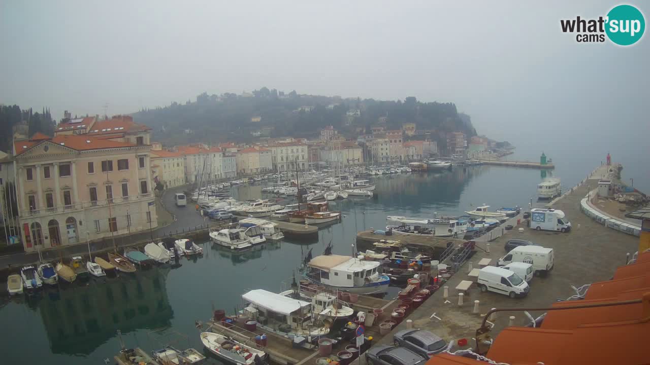 Live webcam from Piran “Mandrač” – Amazing live view from Villa Piranesi