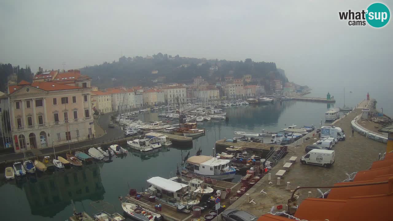 Iz Pirana Spletna kamera v živo “Mandrač” – Neverjeten pogled v živo iz Vile Piranesi