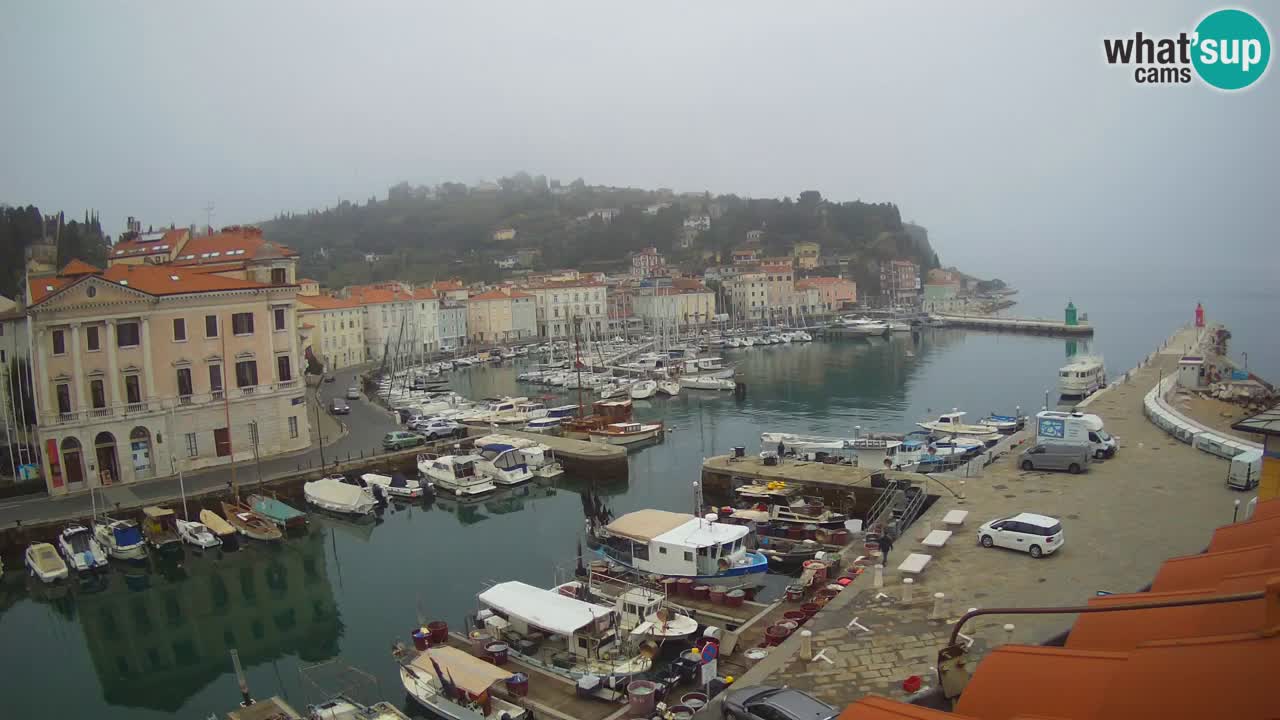 Cámara web en vivo desde Piran “Mandrač” – Increíble vista en vivo desde Villa Piranesi