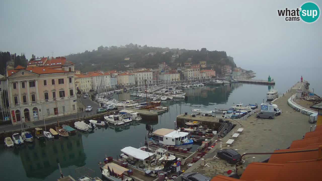 Live webcam from Piran “Mandrač” – Amazing live view from Villa Piranesi