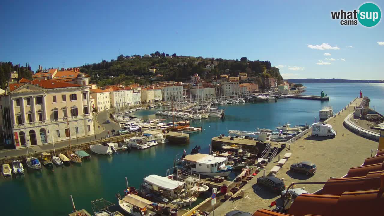 Iz Pirana Spletna kamera v živo “Mandrač” – Neverjeten pogled v živo iz Vile Piranesi