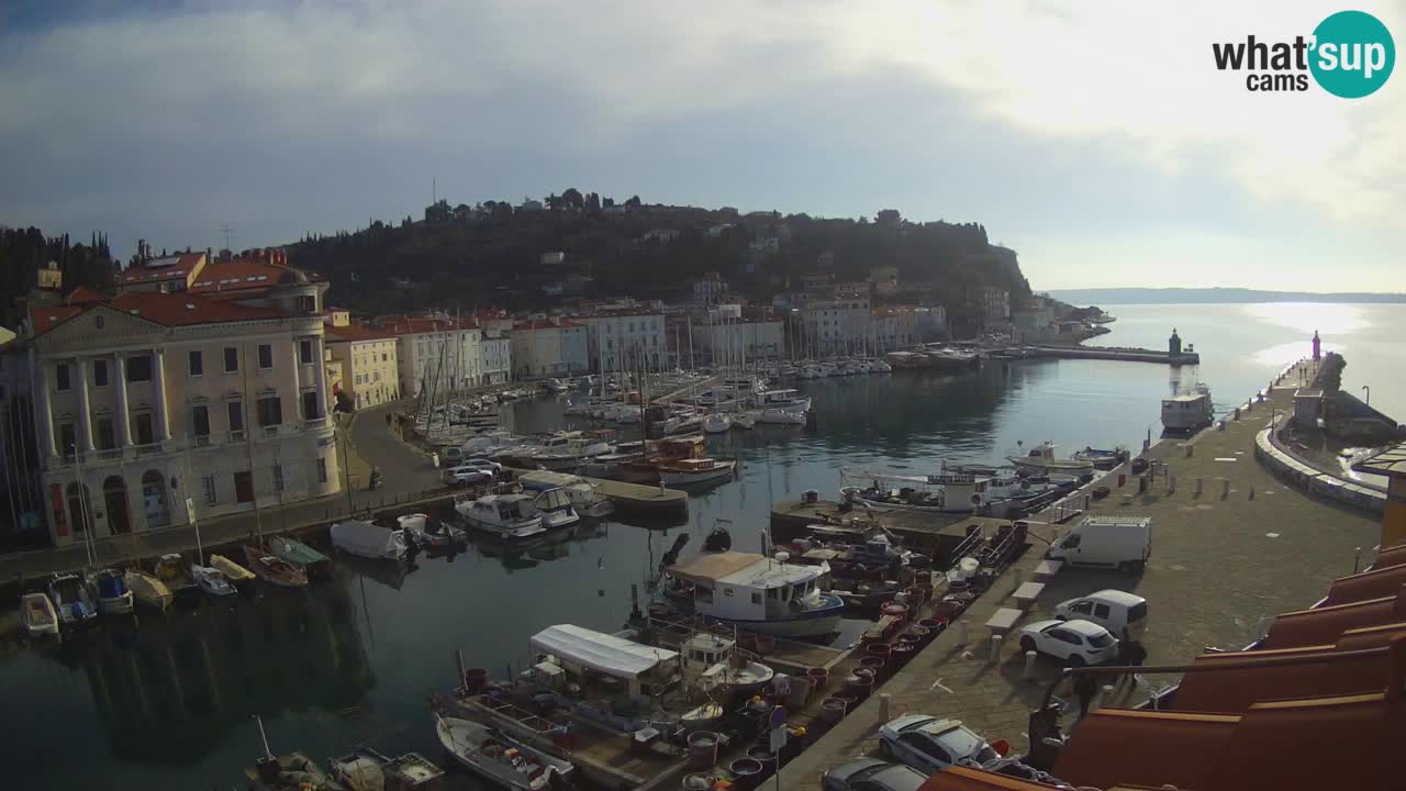Iz Pirana Spletna kamera v živo “Mandrač” – Neverjeten pogled v živo iz Vile Piranesi
