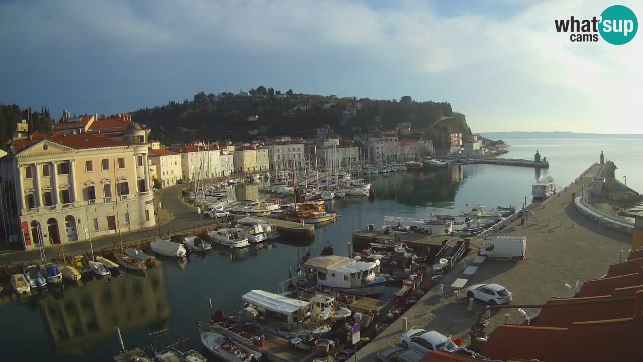 Iz Pirana Spletna kamera v živo “Mandrač” – Neverjeten pogled v živo iz Vile Piranesi