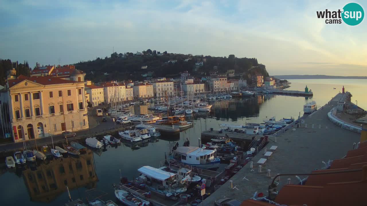 Iz Pirana Spletna kamera v živo “Mandrač” – Neverjeten pogled v živo iz Vile Piranesi