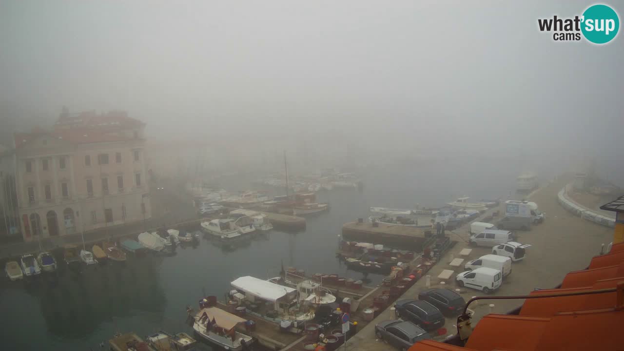 Cámara web en vivo desde Piran “Mandrač” – Increíble vista en vivo desde Villa Piranesi