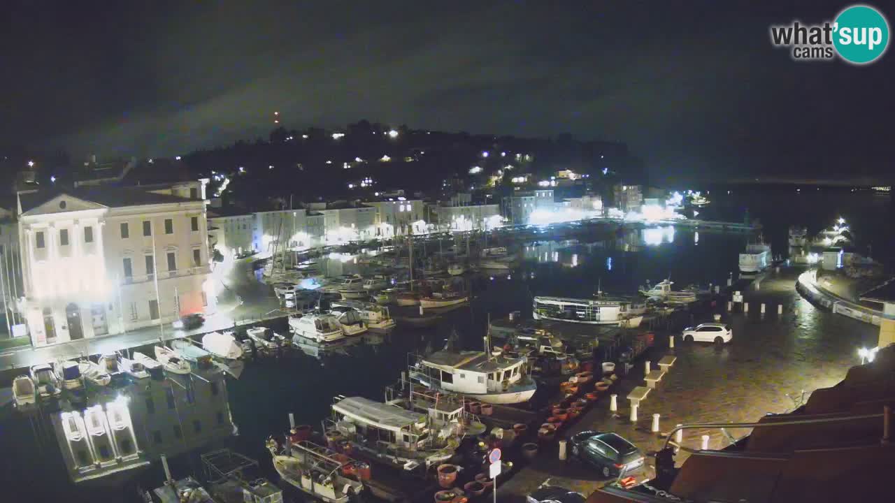 Iz Pirana Spletna kamera v živo “Mandrač” – Neverjeten pogled v živo iz Vile Piranesi