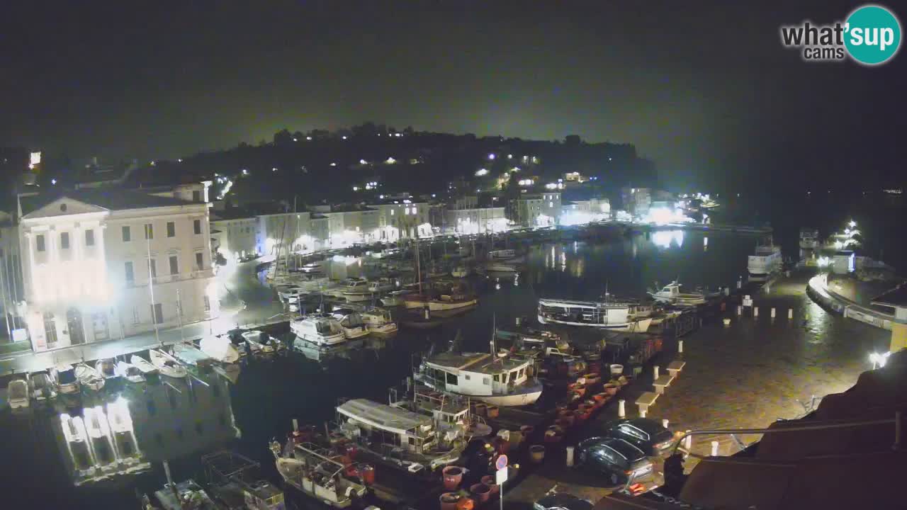 Iz Pirana Spletna kamera v živo “Mandrač” – Neverjeten pogled v živo iz Vile Piranesi