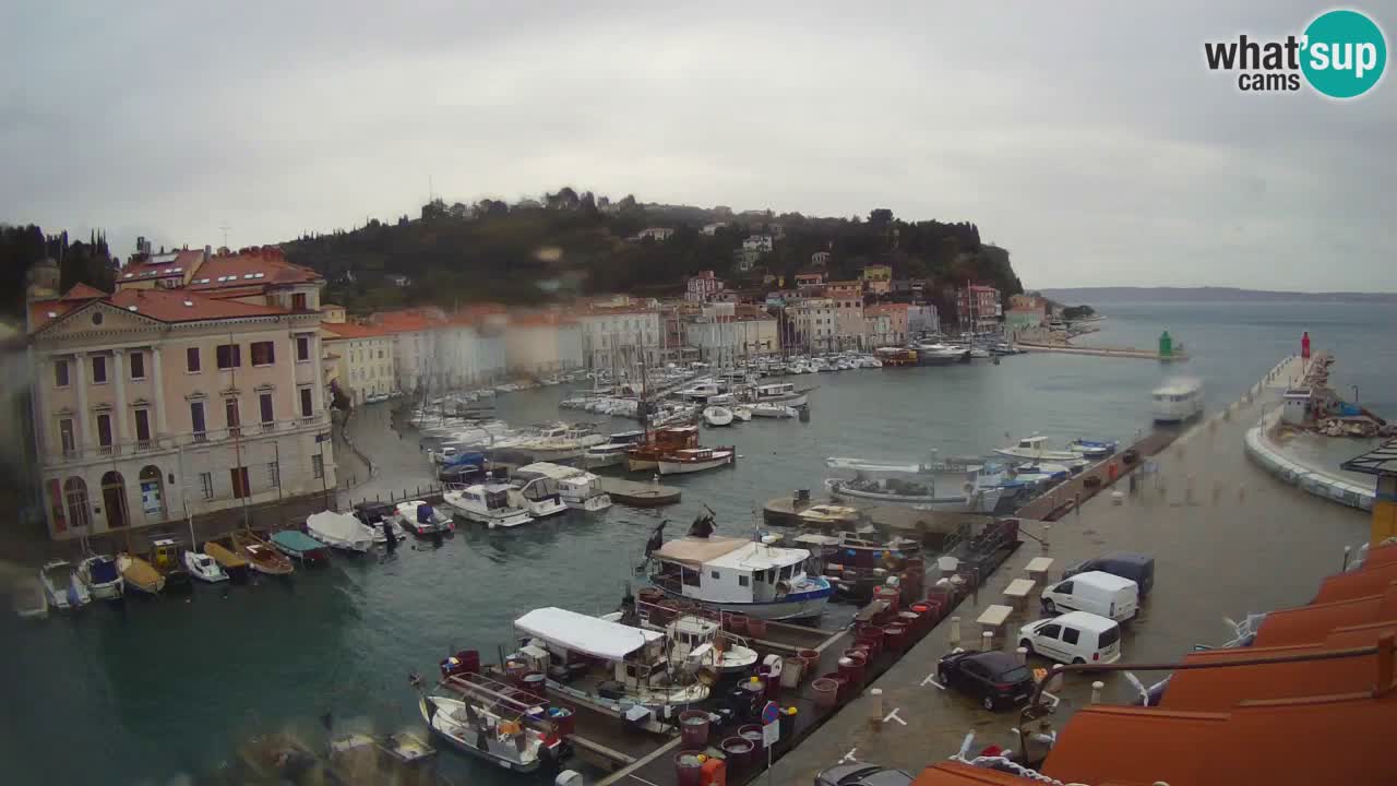 Live webcam from Piran “Mandrač” – Amazing live view from Villa Piranesi