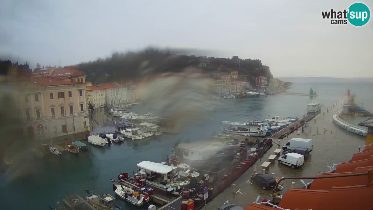 Webcam en direct de Piran “Mandrač” – Incroyable vue en direct de la Villa Piranesi