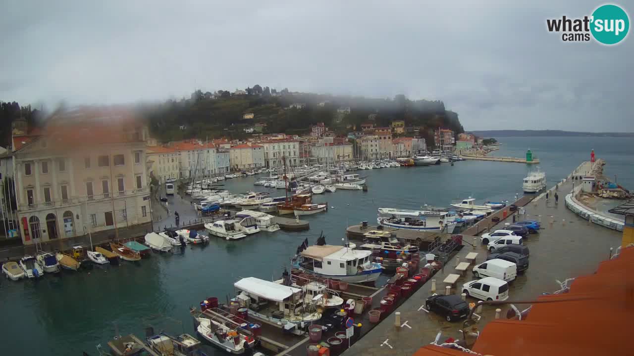Live webcam from Piran “Mandrač” – Amazing live view from Villa Piranesi
