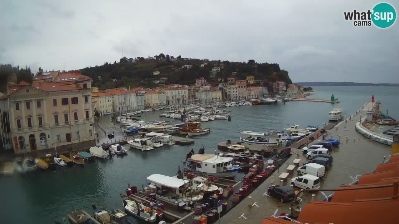 Live-Webcam aus Piran “Mandrač” – Erstaunliche Live-Ansicht von Villa Piranesi
