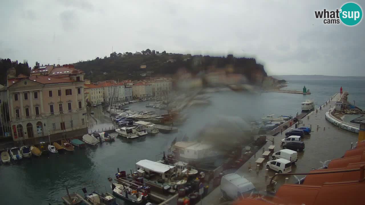 Iz Pirana Spletna kamera v živo “Mandrač” – Neverjeten pogled v živo iz Vile Piranesi