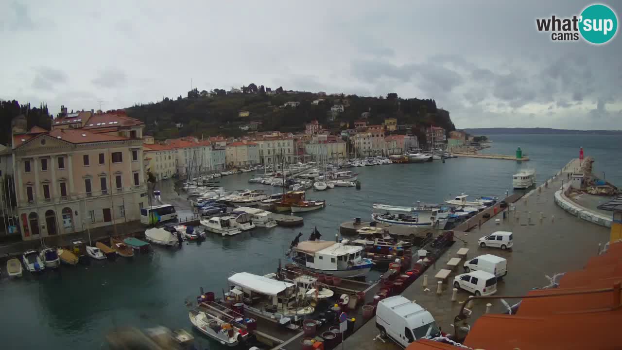 Webcam en direct de Piran “Mandrač” – Incroyable vue en direct de la Villa Piranesi