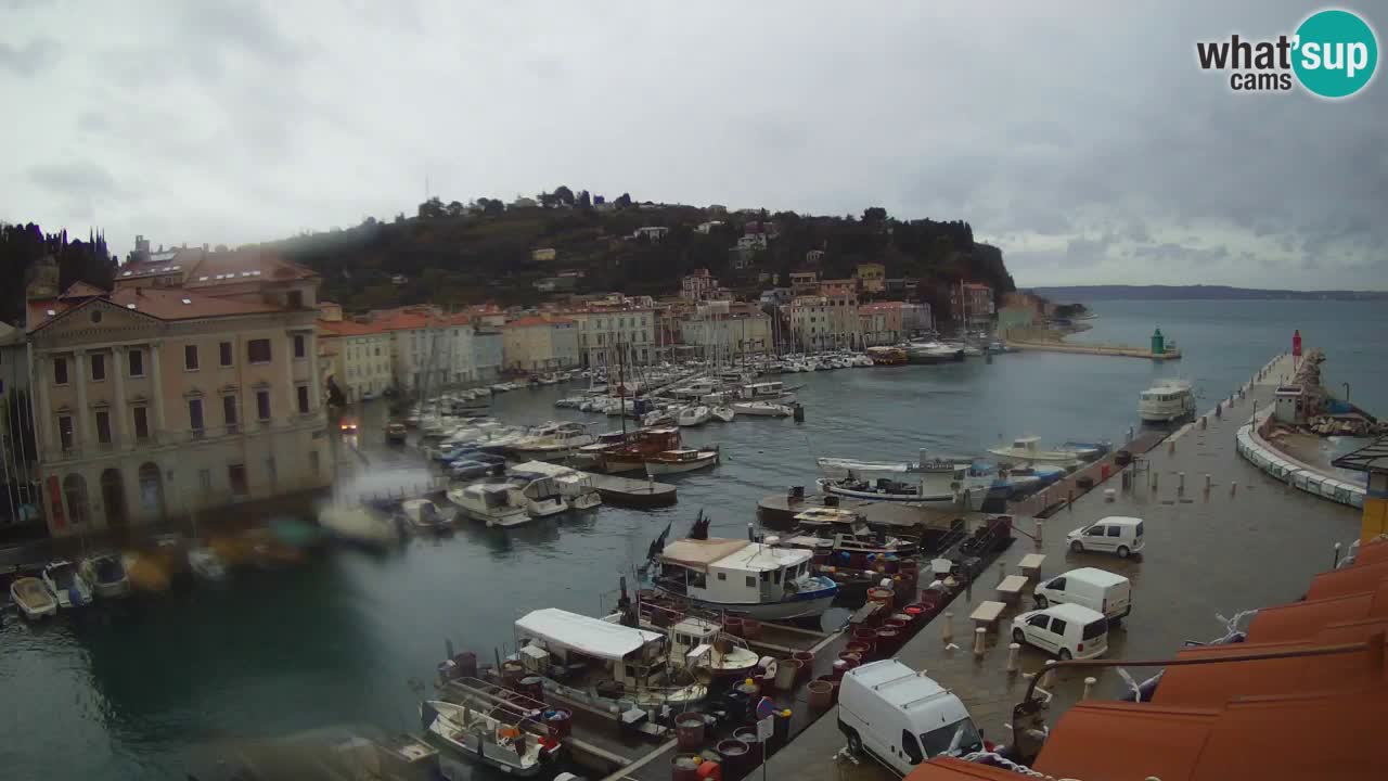 Webcam en direct de Piran “Mandrač” – Incroyable vue en direct de la Villa Piranesi