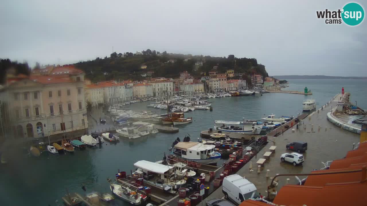Live-Webcam aus Piran “Mandrač” – Erstaunliche Live-Ansicht von Villa Piranesi
