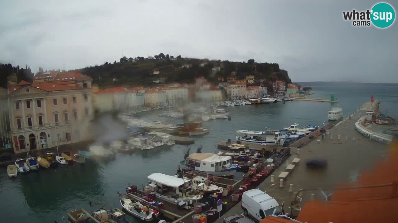 Webcam en direct de Piran “Mandrač” – Incroyable vue en direct de la Villa Piranesi