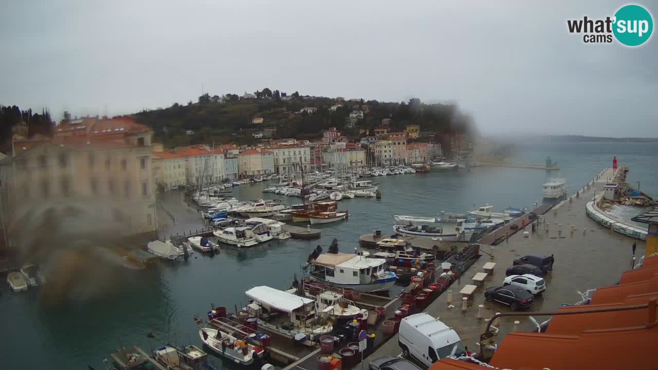 Live-Webcam aus Piran “Mandrač” – Erstaunliche Live-Ansicht von Villa Piranesi