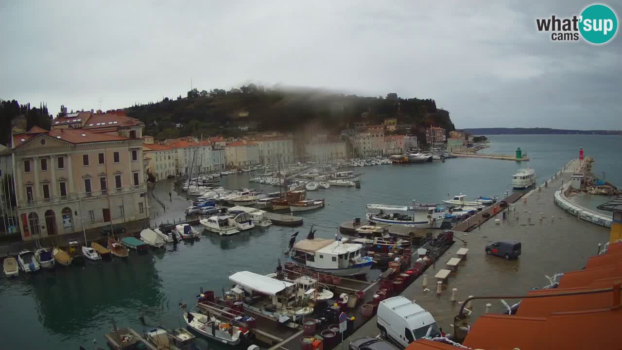 Cámara web en vivo desde Piran “Mandrač” – Increíble vista en vivo desde Villa Piranesi
