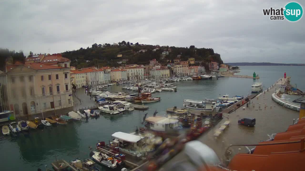 Webcam en direct de Piran “Mandrač” – Incroyable vue en direct de la Villa Piranesi