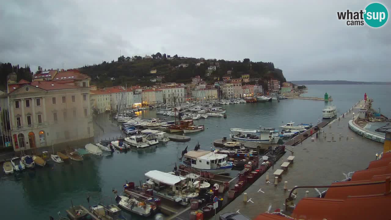 Live webcam da Pirano “Mandrač” – Splendida vista live da Villa Piranesi