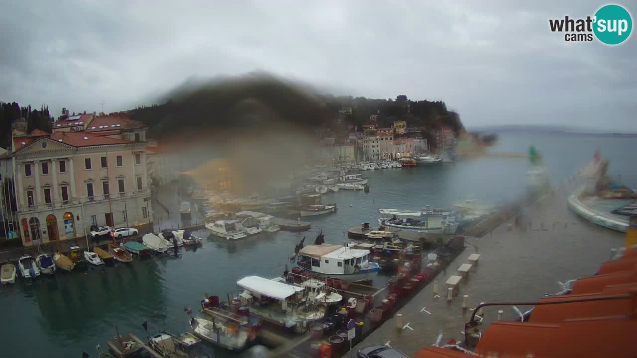 Cámara web en vivo desde Piran “Mandrač” – Increíble vista en vivo desde Villa Piranesi