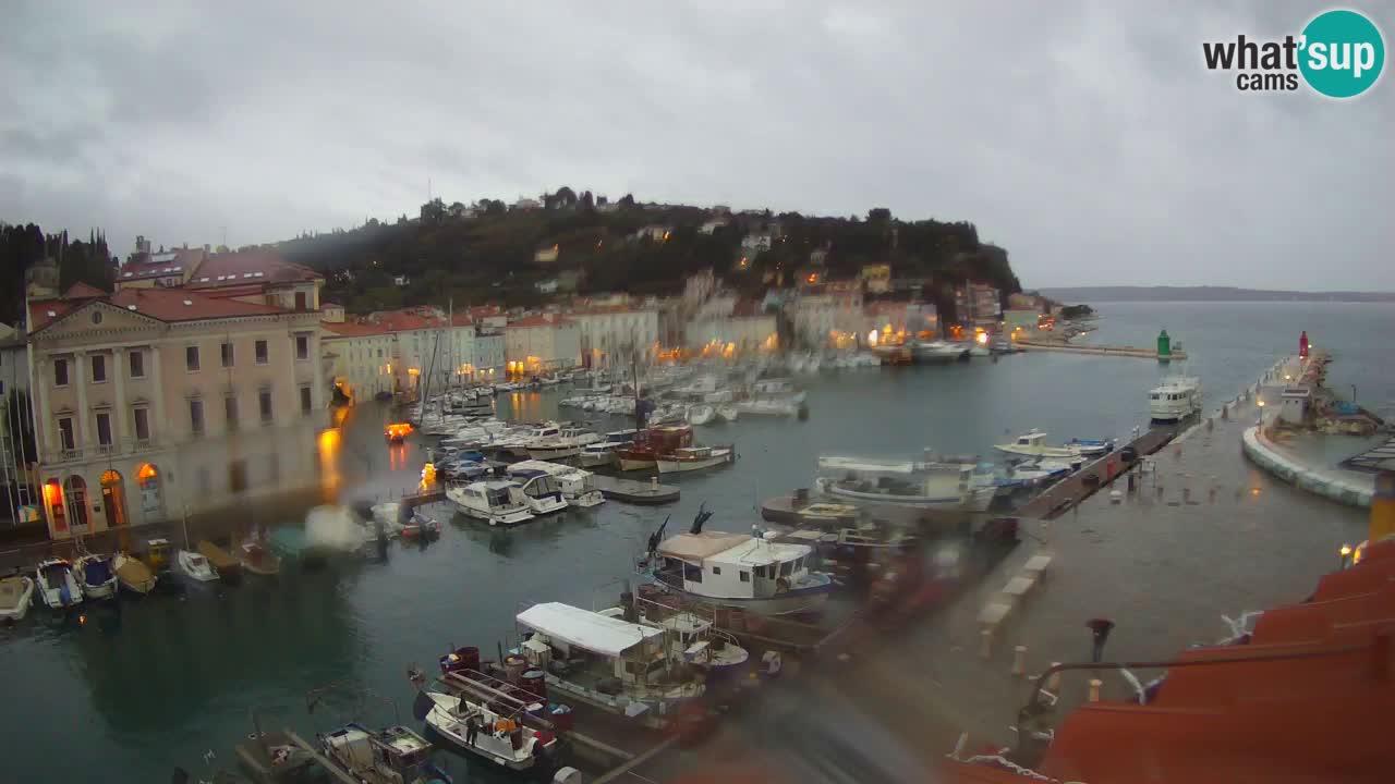Iz Pirana Spletna kamera v živo “Mandrač” – Neverjeten pogled v živo iz Vile Piranesi