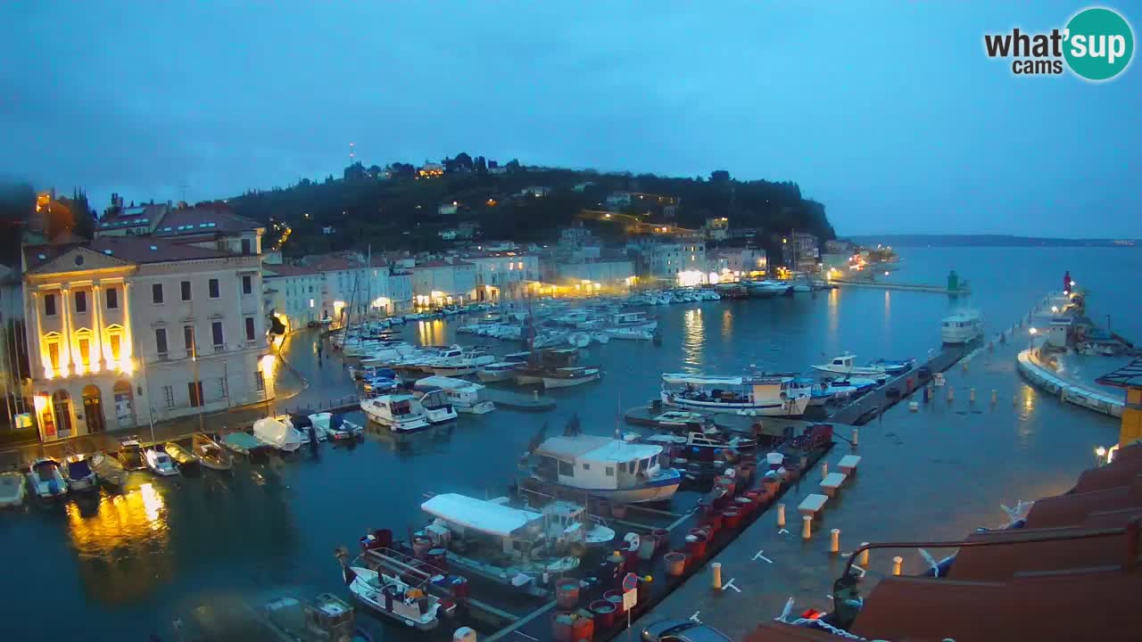 Iz Pirana Spletna kamera v živo “Mandrač” – Neverjeten pogled v živo iz Vile Piranesi