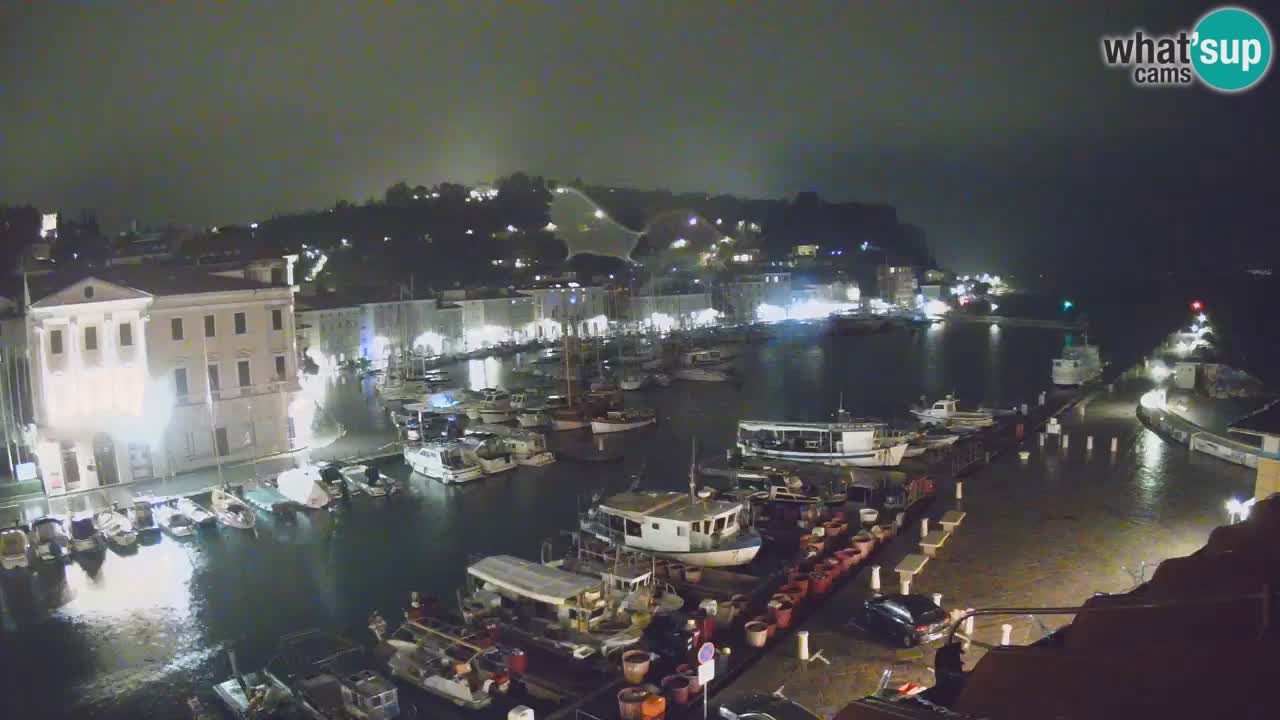 Iz Pirana Spletna kamera v živo “Mandrač” – Neverjeten pogled v živo iz Vile Piranesi