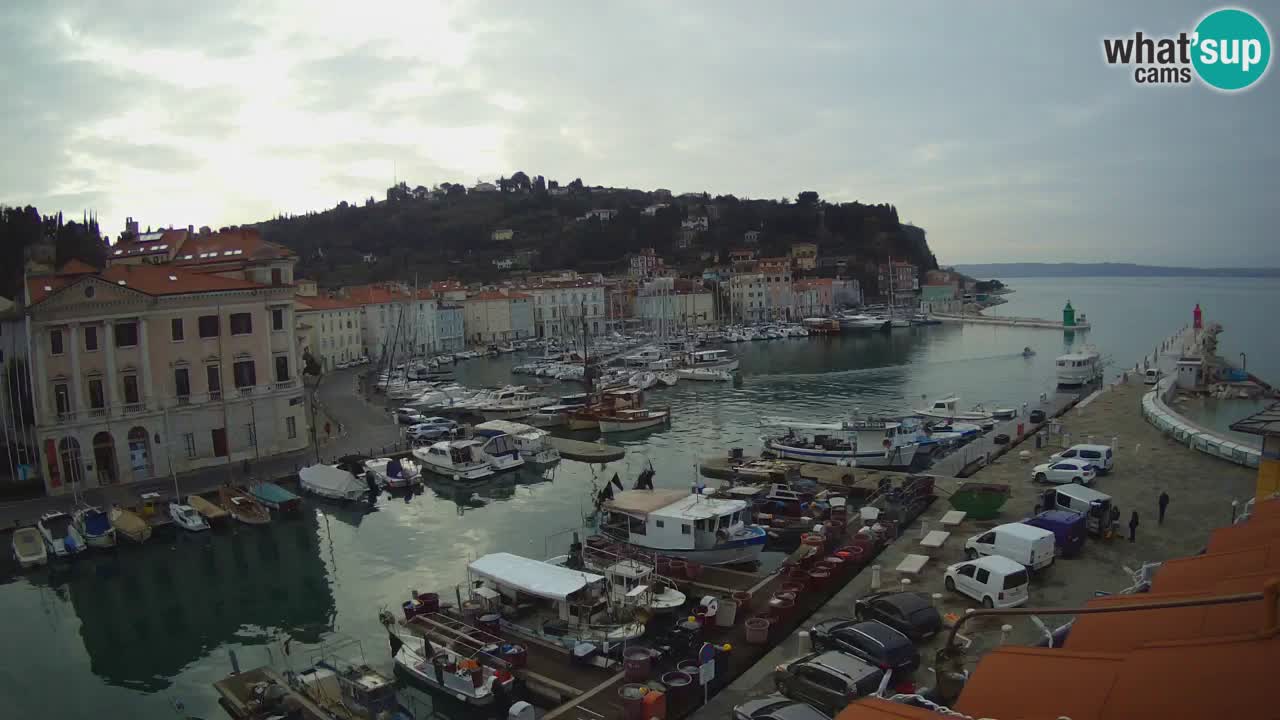 Live webcam from Piran “Mandrač” – Amazing live view from Villa Piranesi
