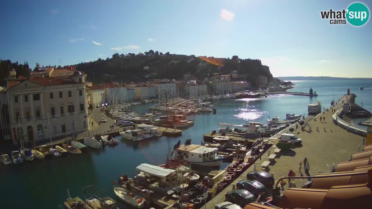Iz Pirana Spletna kamera v živo “Mandrač” – Neverjeten pogled v živo iz Vile Piranesi