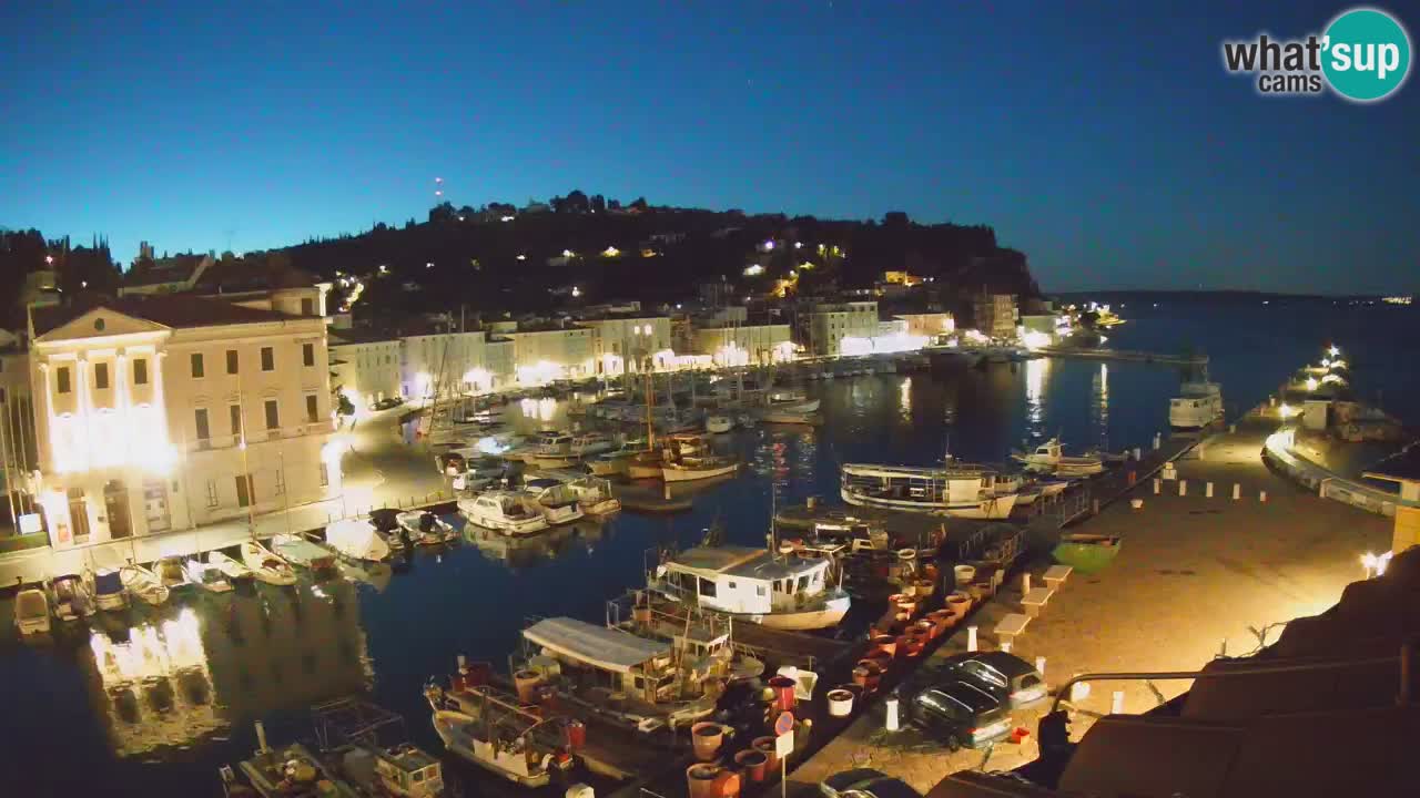 Web kamera uživo iz Pirana “Mandrač” – Nevjerojatan pogled uživo iz Ville Piranesi