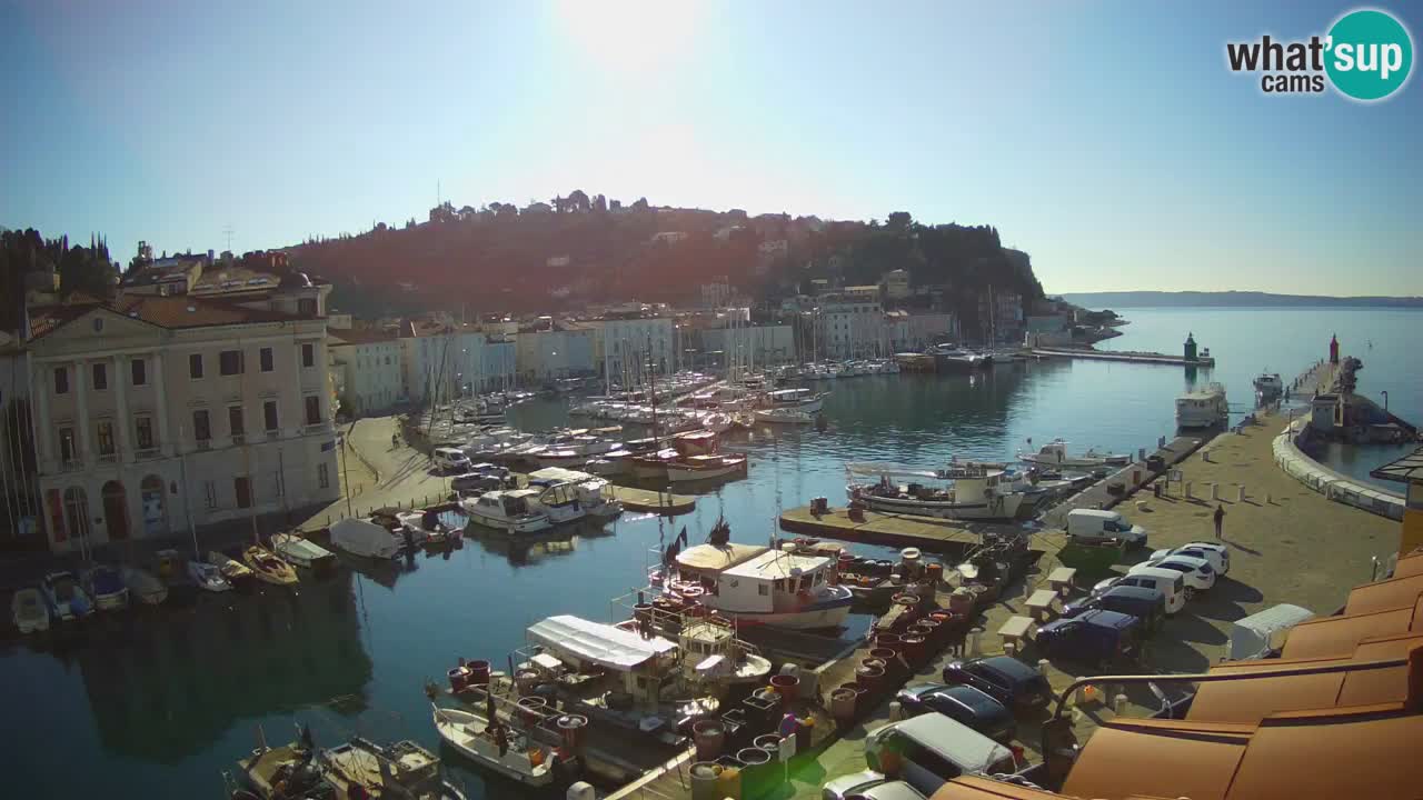 Live webcam da Pirano “Mandrač” – Splendida vista live da Villa Piranesi