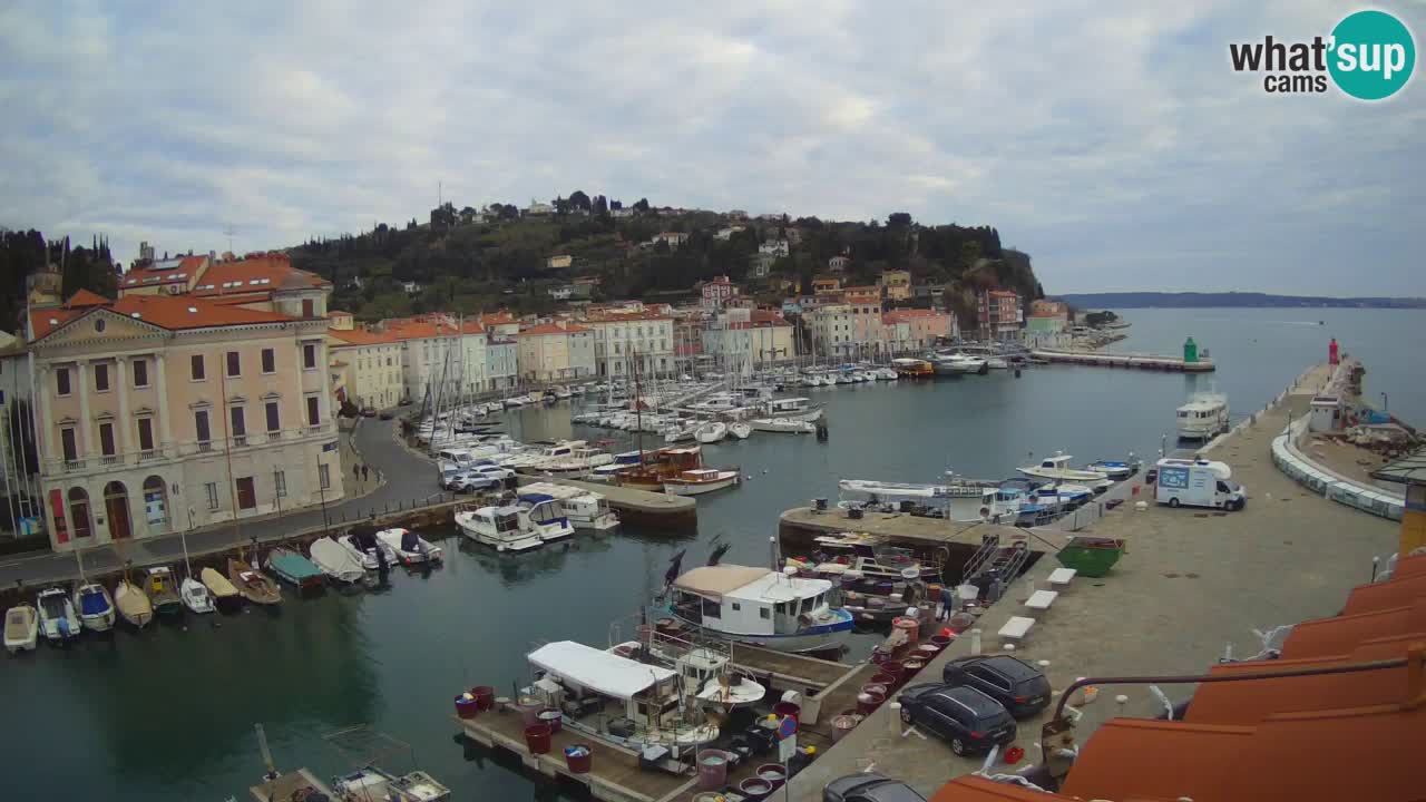 Web kamera uživo iz Pirana “Mandrač” – Nevjerojatan pogled uživo iz Ville Piranesi